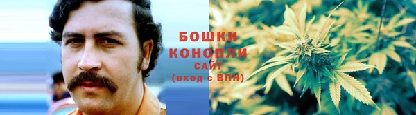 дживик Михайлов
