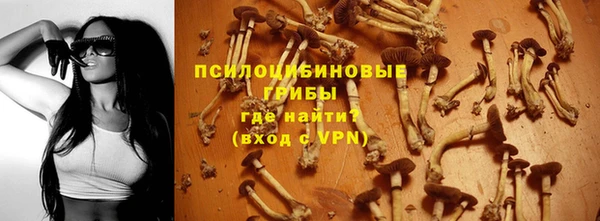 mdpv Михайловск