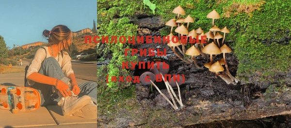 спайс Михайловка